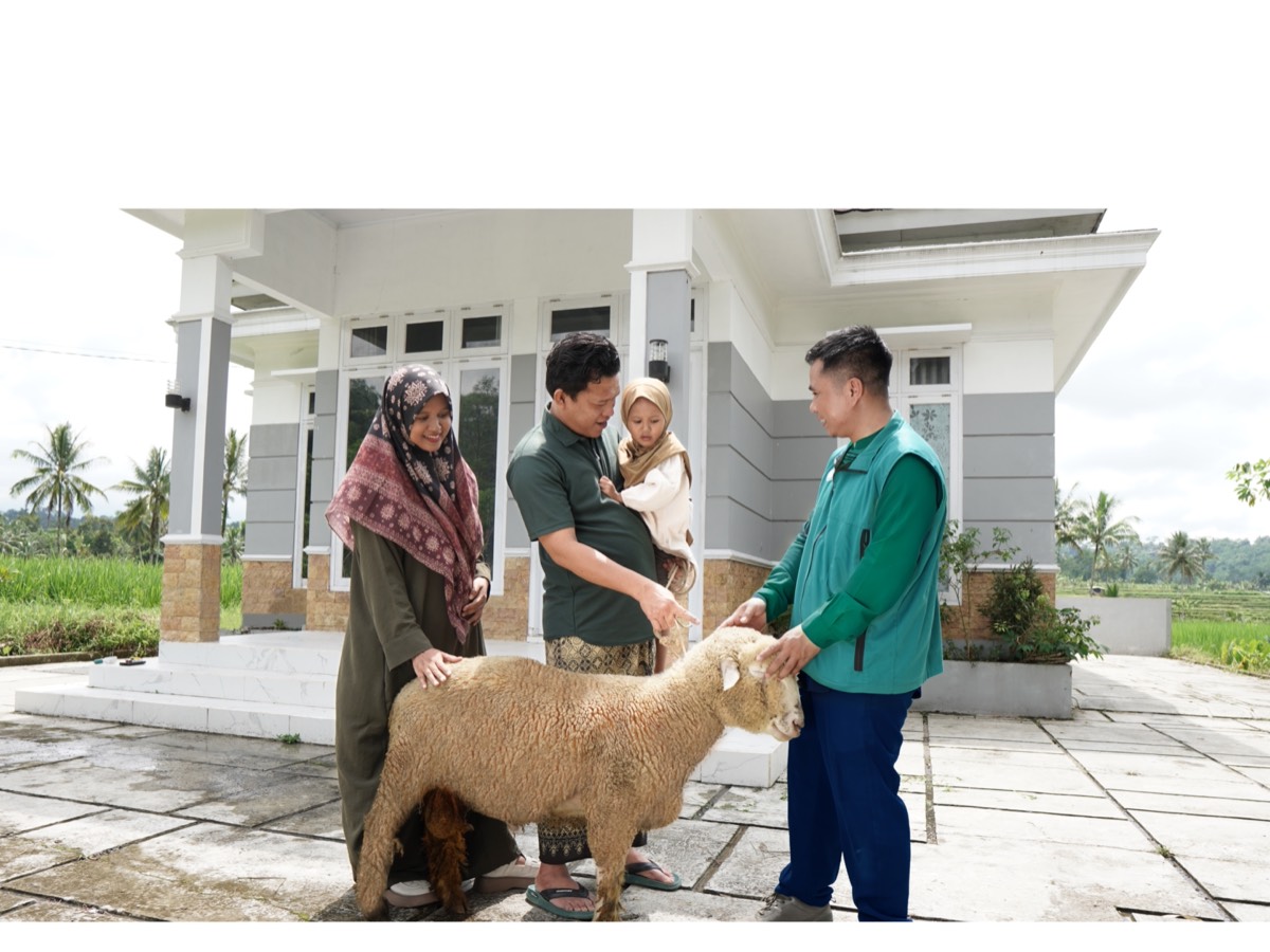 Qurban Tamzis